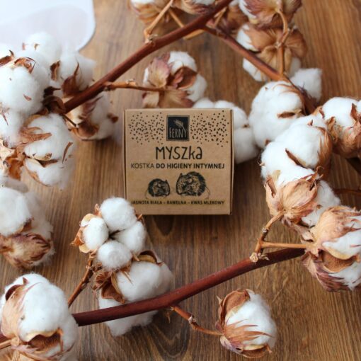 kostka do higieny intymnej z kwasem mlekowym, opakowanie bez plastiku, less waste